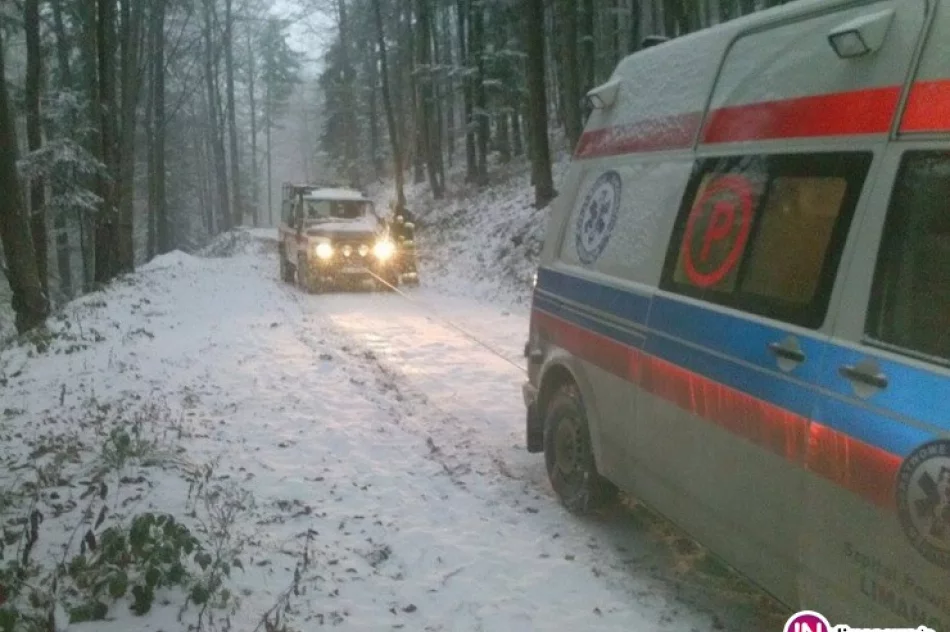 Podejrzenie podtrucia tlenkiem węgla. Trudna akcja ratowników i strażaków - zdjęcie 2