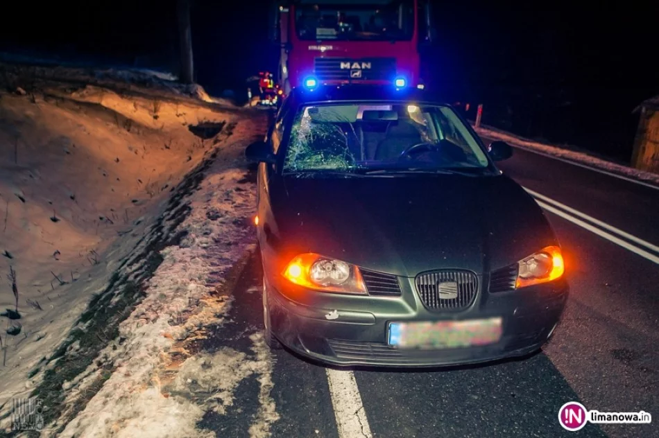 Kolejna tragedia na drodze (wideo) - zdjęcie 2