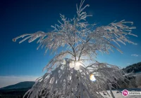 Ostrzeżenie o silnym wietrze, nawet do 110 km/h - zdjęcie główne