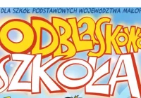 Znane wyniki 'odblaskowej szkoły' - zdjęcie główne