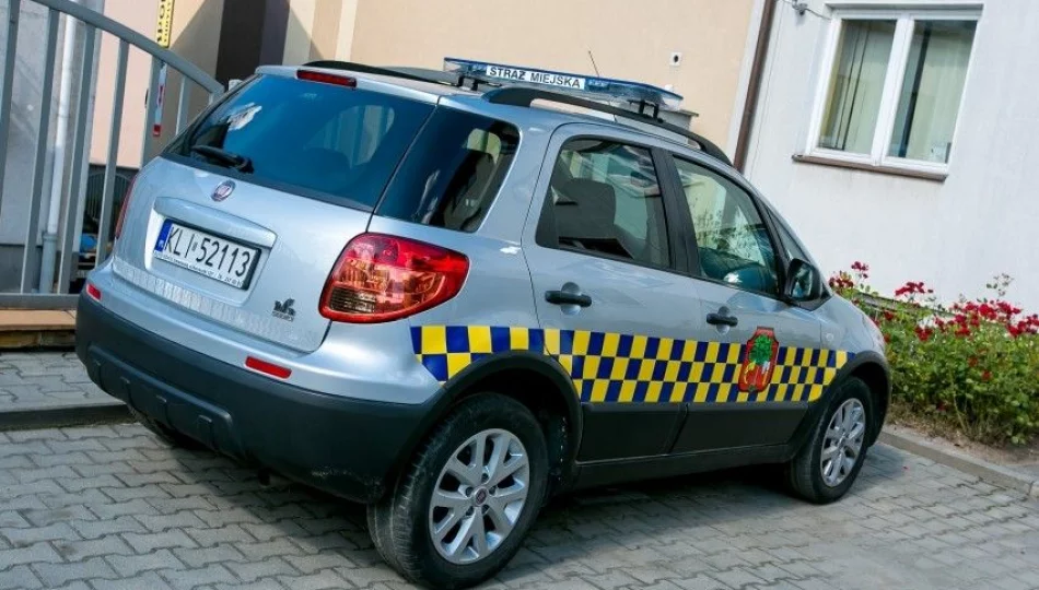 Staż miejska będzie kontrolować lokalne firmy - zdjęcie 1