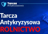 Najważniejsze rozwiązania Tarczy Antykryzysowej dla rolnictwa - zdjęcie główne