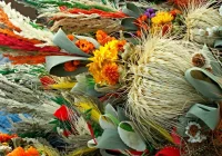 "Niedzielę Palmową możemy obchodzić także w domach" - zdjęcie główne