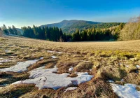 Ostrzeżenie IMiGW: przymrozki - zdjęcie główne