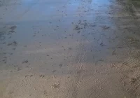 Interwencja DTS: Nabrudzili przy budowie Obwodnicy Zachodniej, gmina apeluje o cierpliwość - zdjęcie główne