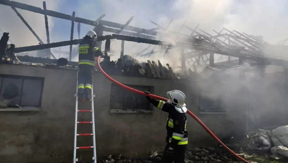 Pożar gasiło 84 strażaków. 3 osoby wymagały pomocy medycznej, zginęły zwierzęta gospodarskie - zdjęcie 1