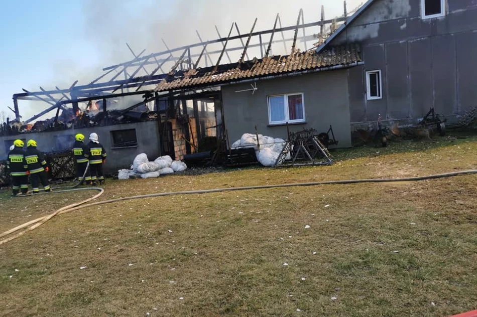 Pożar gasiło 84 strażaków. 3 osoby wymagały pomocy medycznej, zginęły zwierzęta gospodarskie - zdjęcie 2