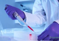 Zlecanie badań było wstrzymane przez tydzień. Próbki pobrane niektórym mieszkańcom w ogóle nie zostaną zbadane - zdjęcie główne