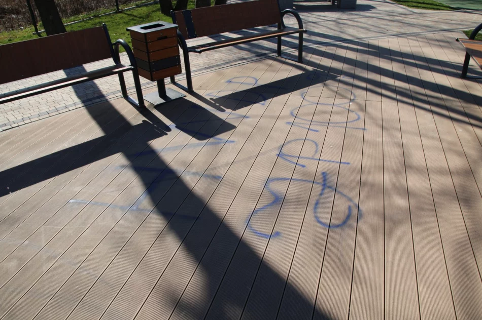 Jeden ze sprawców wandalizmu sam zgłosił się do urzędu - zdjęcie 4