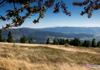 Policyjny śmigłowiec rozgonił grupę quadowców - zdjęcie główne