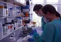 Będzie pierwszy polski test na koronawirusa, niebawem ruszy produkcja - zdjęcie główne