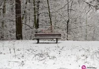 Jeden telefon może uratować życie - zdjęcie główne