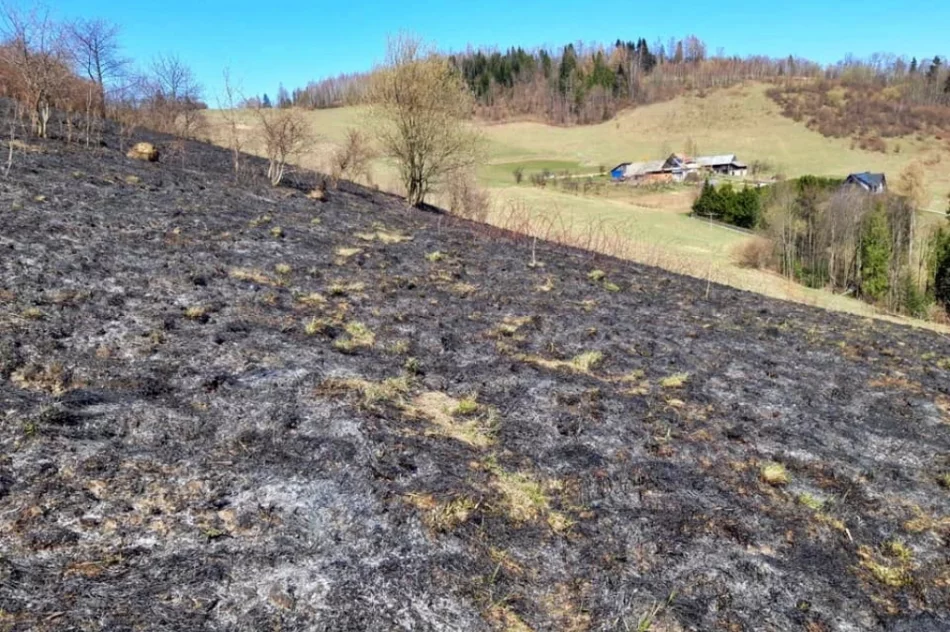 Nie ustaje problem pożarów traw. Policja nakłada mandaty na podpalaczy - zdjęcie 2