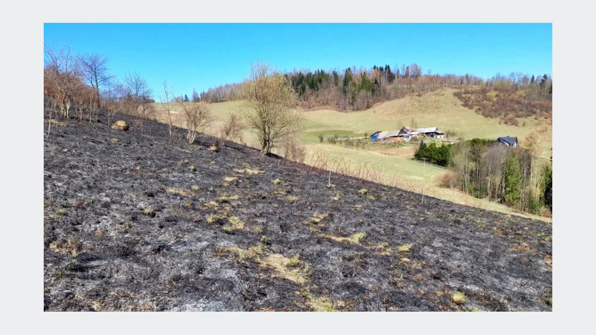 Za wypalanie traw grozi od dziś 30 tys. zł grzywny