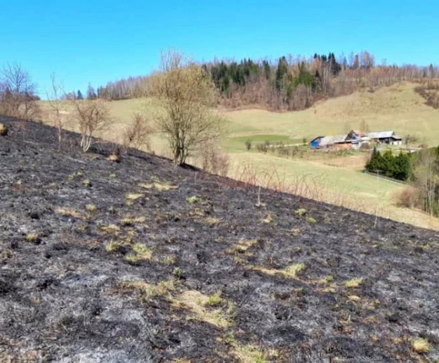 Za wypalanie traw grozi od dziś 30 tys. zł grzywny - zdjęcie główne