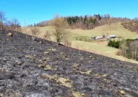 Za wypalanie traw grozi od dziś 30 tys. zł grzywny - zdjęcie główne