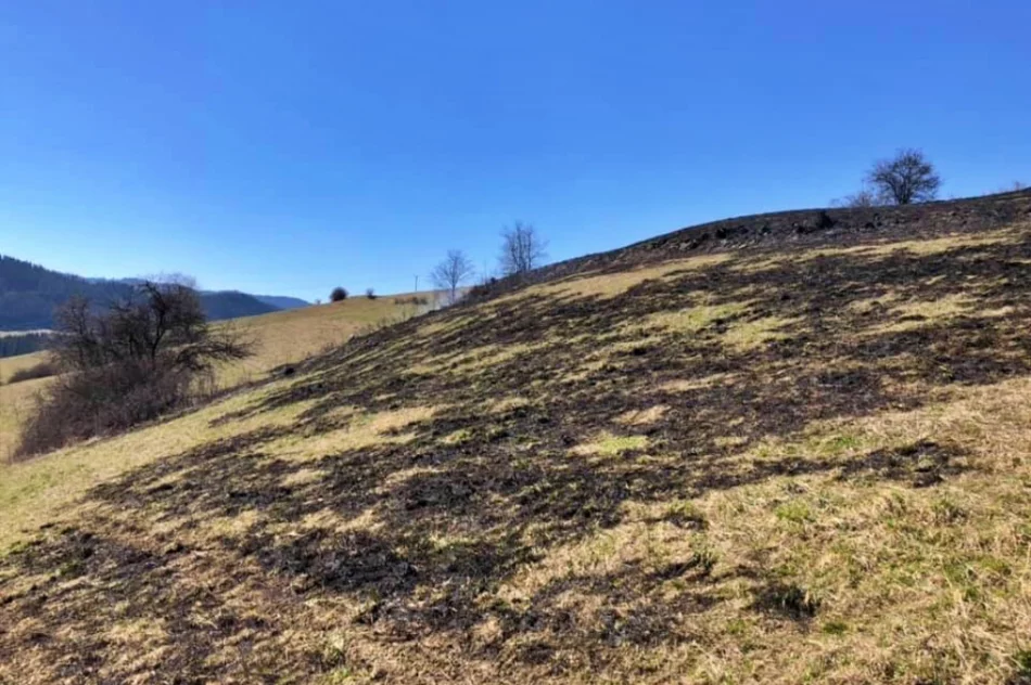 Nie ustaje problem pożarów traw. Policja nakłada mandaty na podpalaczy - zdjęcie 3