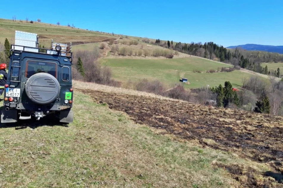 Nie ustaje problem pożarów traw. Policja nakłada mandaty na podpalaczy - zdjęcie 4