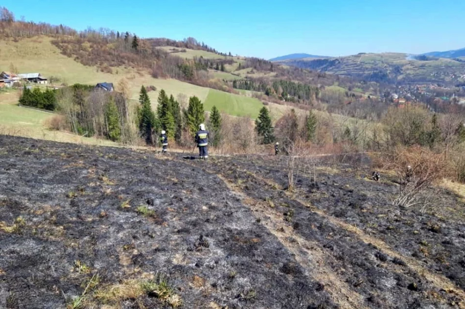 Nie ustaje problem pożarów traw. Policja nakłada mandaty na podpalaczy - zdjęcie 5