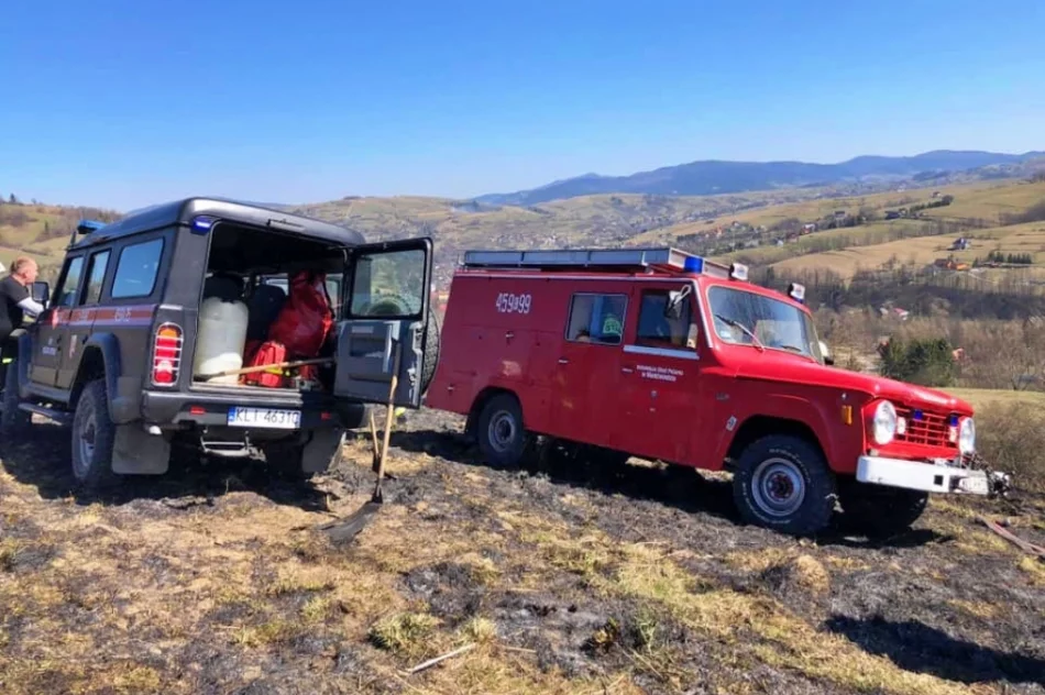 Nie ustaje problem pożarów traw. Policja nakłada mandaty na podpalaczy - zdjęcie 6