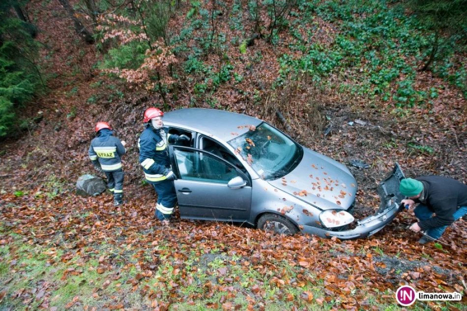 Samochód wypadł z drogi - zdjęcie 4