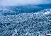 W górach spadł śnieg - zdjęcie główne