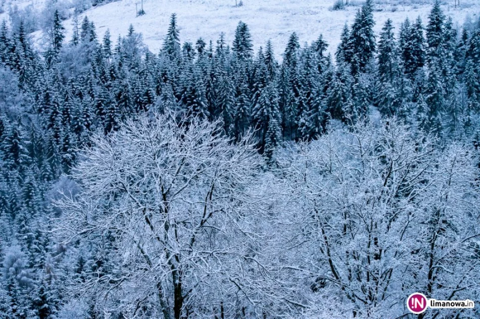 W górach spadł śnieg - zdjęcie 2