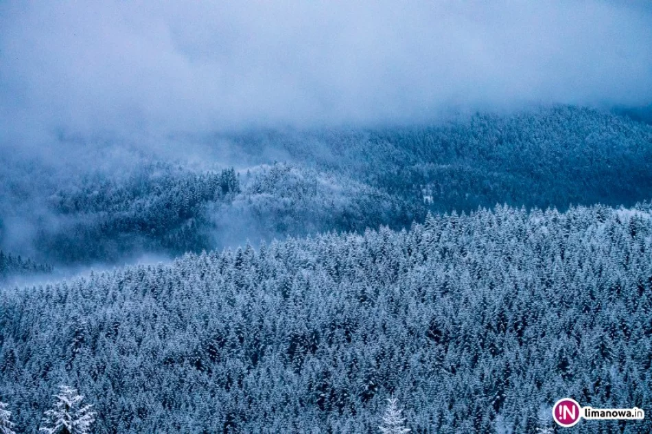 W górach spadł śnieg - zdjęcie 4