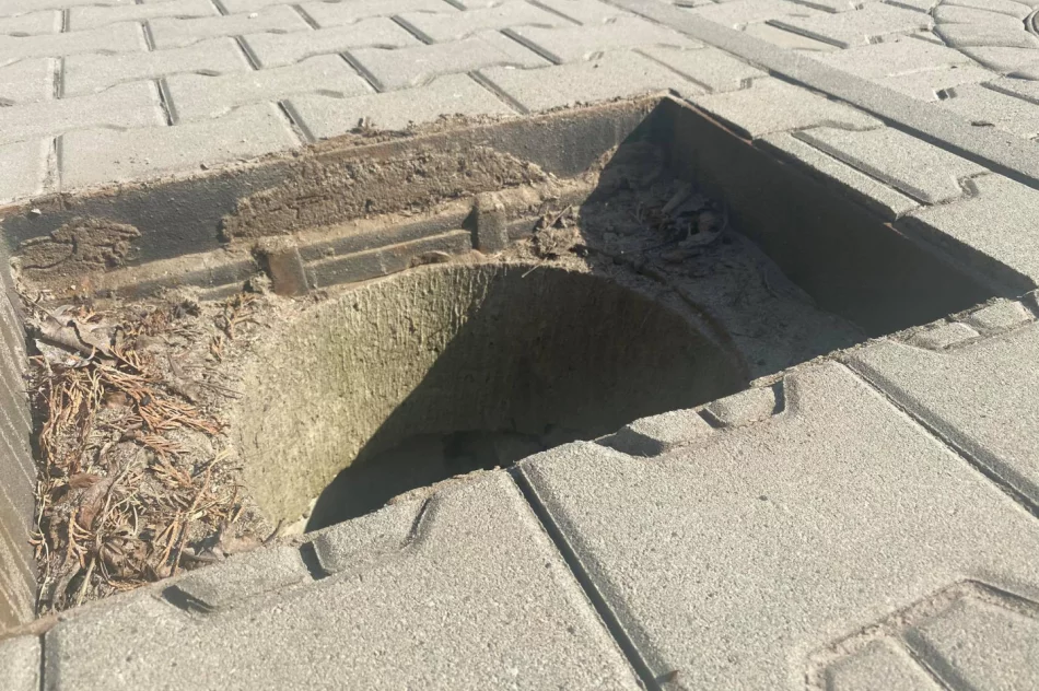 Pozostałości po nocnych "psotach" - część z nich to skrajna nieodpowiedzialność - zdjęcie 4