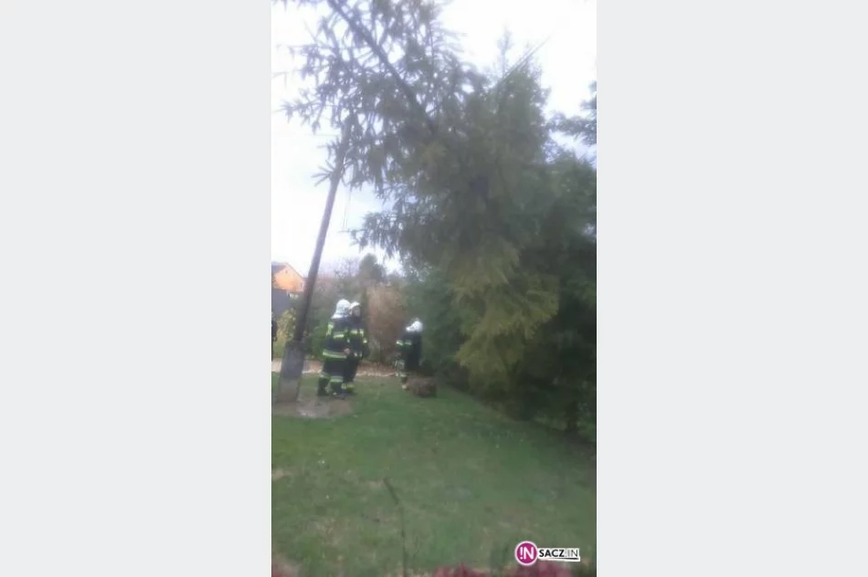 Wiatr pozrywał dachy - zdjęcie 4