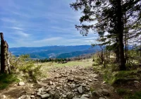 Zakaz wstępu do lasu będzie zdjęty - zdjęcie główne