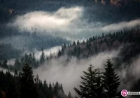 Meteorolodzy wydają ostrzeżenie - wiatr do 110 km/h - zdjęcie główne