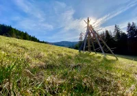 Czy w lesie trzeba korzystać z maseczki? - zdjęcie główne