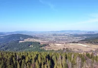 Otwarte lasy i parki, ważny jednak dystans. W weekendy nie będzie "godzin dla seniorów"  - zdjęcie główne