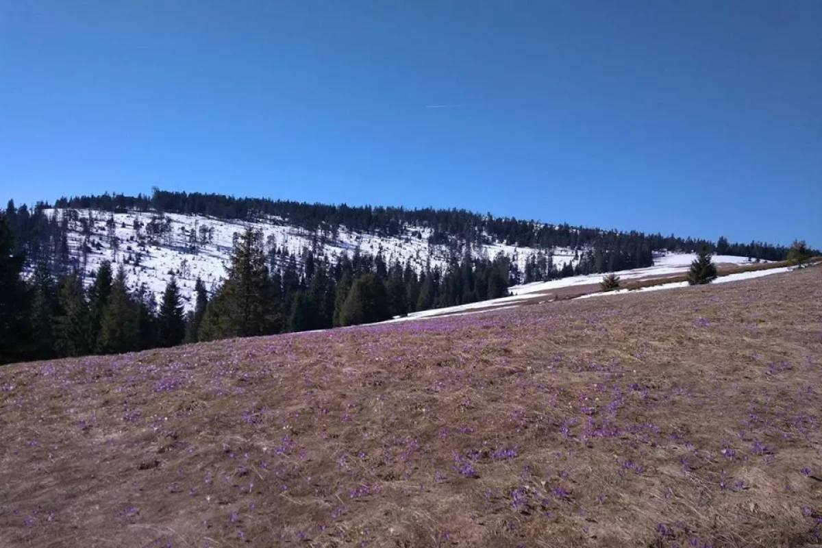 Park narodowy znów otwarty dla turystów. Są jednak wyjątki