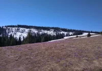 Park narodowy znów otwarty dla turystów. Są jednak wyjątki - zdjęcie główne