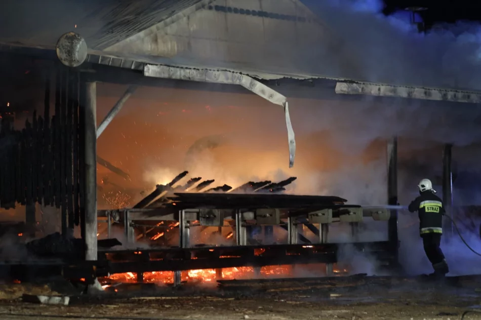 Płonie tartak, z ogniem walczą strażacy - zdjęcie 2