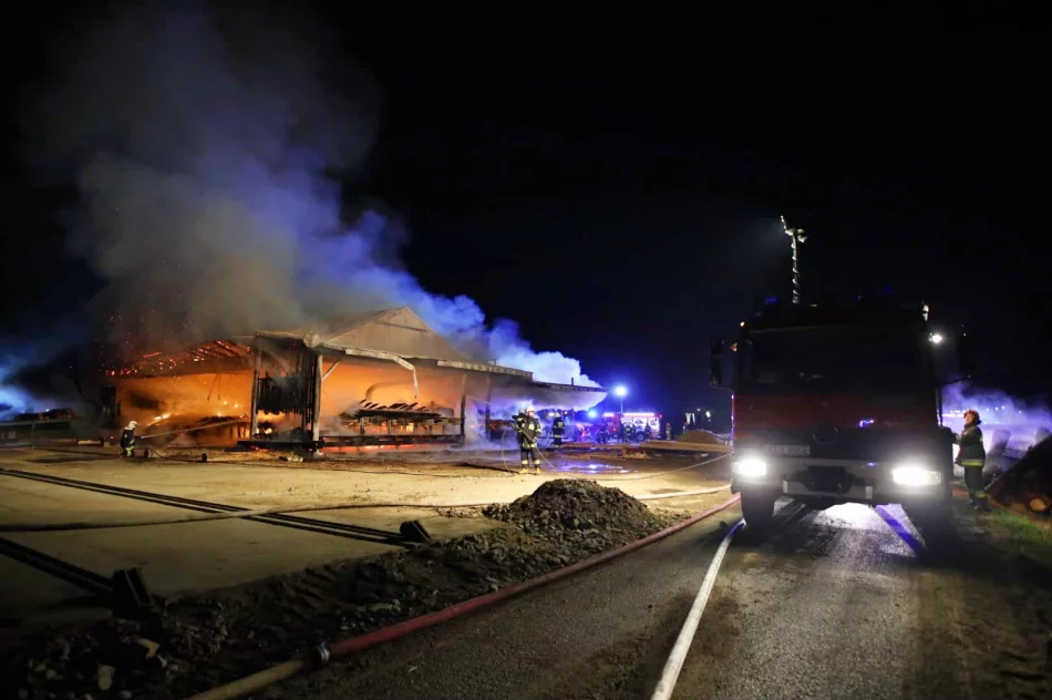 Płonie tartak, z ogniem walczą strażacy - zdjęcie 9