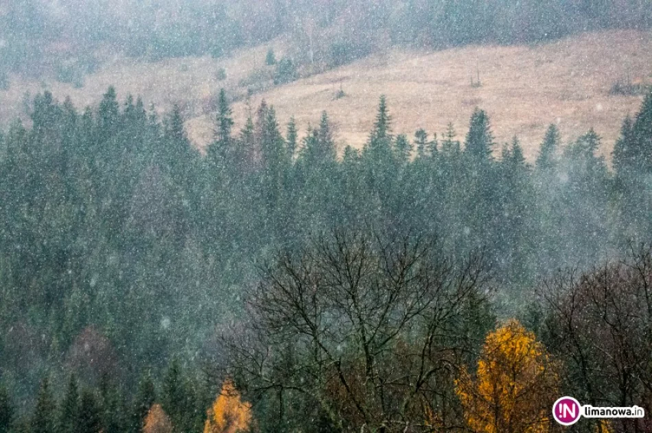 Do Polski zbliża się cyklon. Może wiać nawet 100 km/h. Wyżej w górach pada śnieg - zdjęcie 2