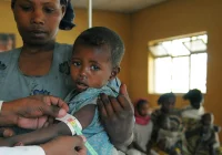 Apel papieża Franciszka o pomoc  - zdjęcie główne