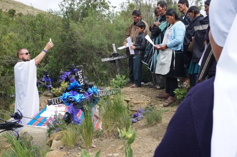 Apel papieża Franciszka o pomoc  - zdjęcie 16