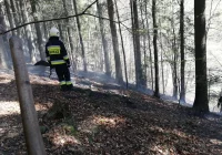 Pożar lasu – z ogniem walczyło 42 strażaków  - zdjęcie główne