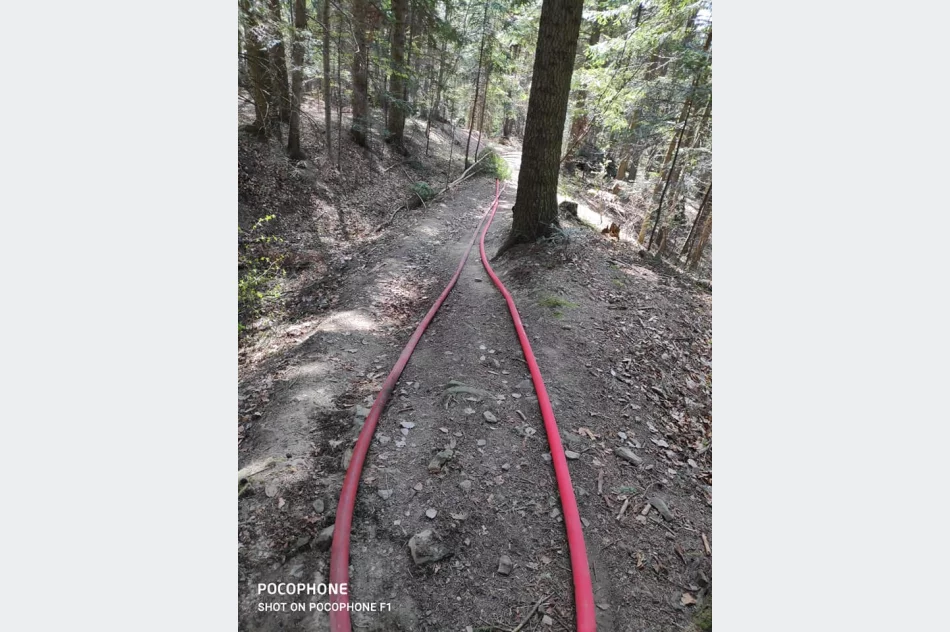 Pożar lasu – z ogniem walczyło 42 strażaków  - zdjęcie 4