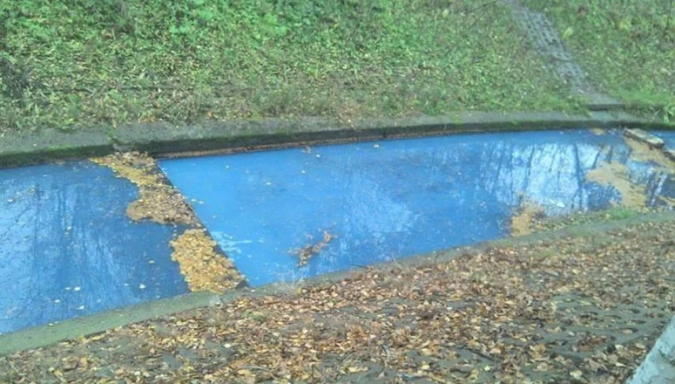 Potokiem płynęła niebieska woda - zdjęcie 1