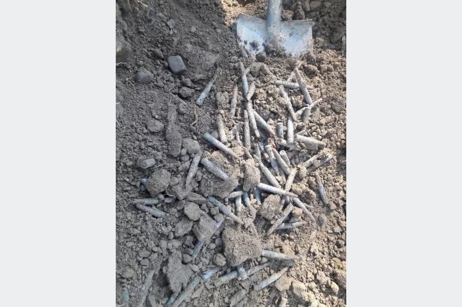 Przy drodze znaleziono ponad 1600 sztuk amunicji karabinowej - zdjęcie 2