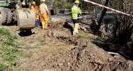 Przy drodze znaleziono ponad 1600 sztuk amunicji karabinowej - zdjęcie 4