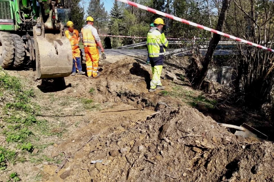Przy drodze znaleziono ponad 1600 sztuk amunicji karabinowej - zdjęcie 4