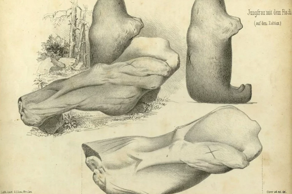 Asterix, Obelix, Idefix i kult solarny w Beskidzie Wyspowym? - zdjęcie 4