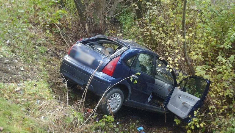 W Łazach Biegonickich samochód wypadł z drogi - zdjęcie 1