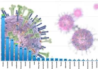 Informacja MPWIS o sytuacji epidemiologicznej w Małopolsce - zdjęcie główne